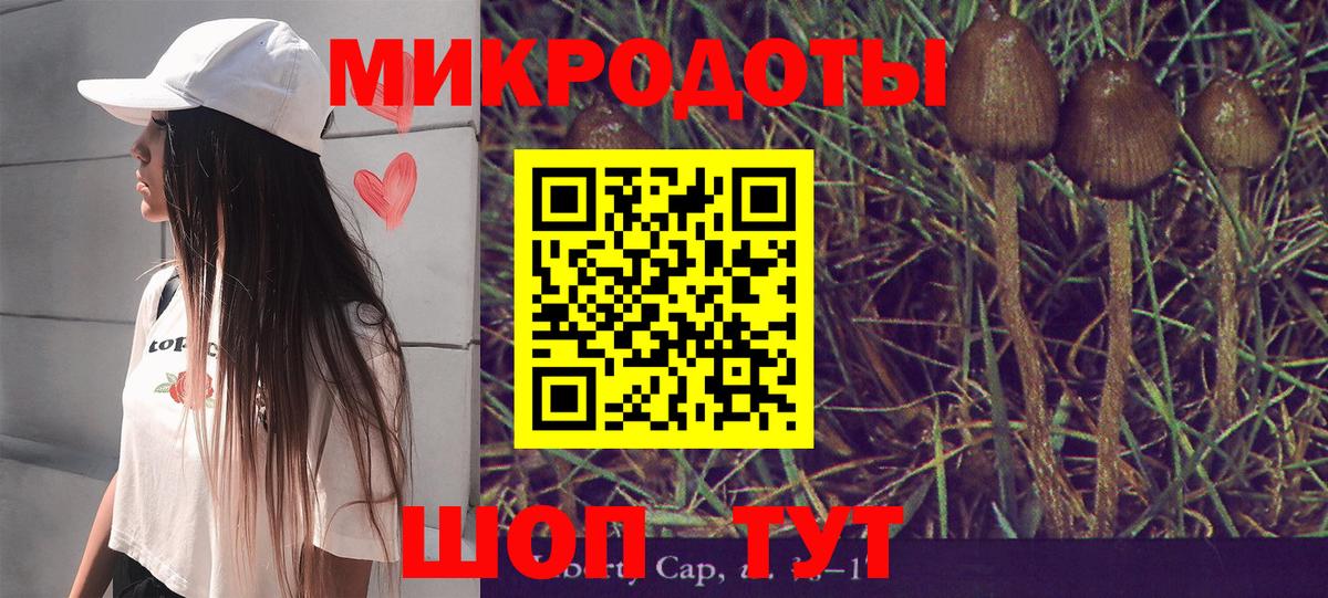Галлюциногенные грибы Psilocybine cubensis Аргун